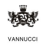 logo vanucci