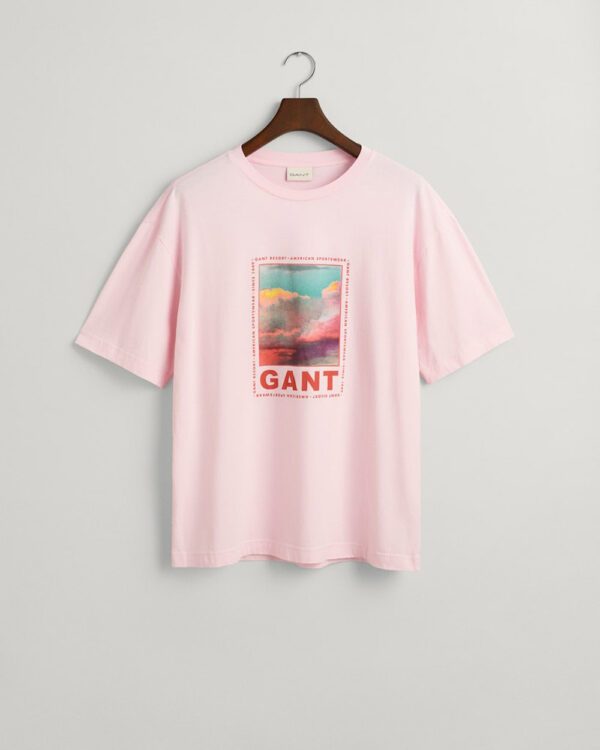 GANT - Washed Graphic SS T-Shirt
